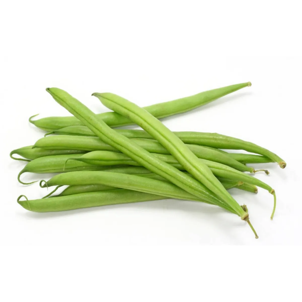 495-beans_haricot