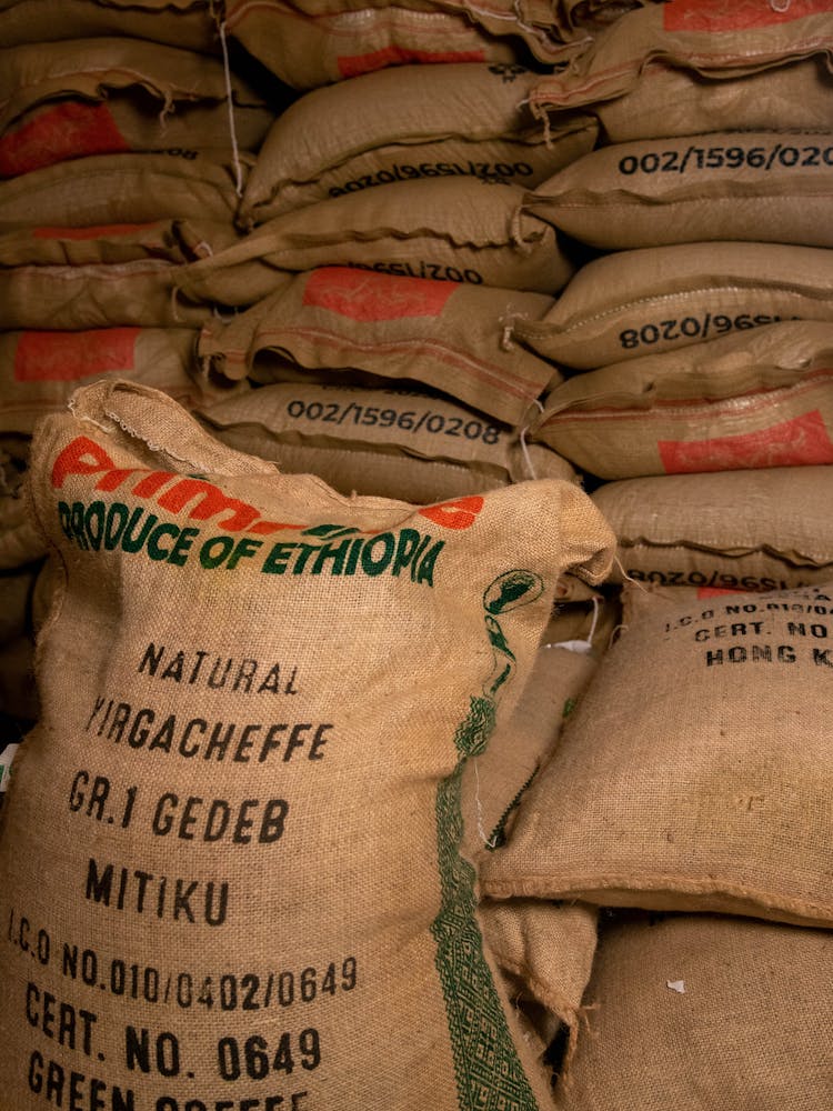 pexels-photo-19052799-1